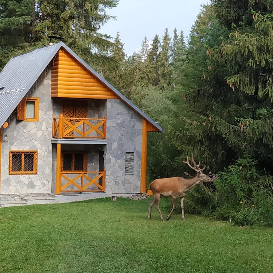Chata Tatry ตาตรันสกา ชตราบา ภายนอก รูปภาพ