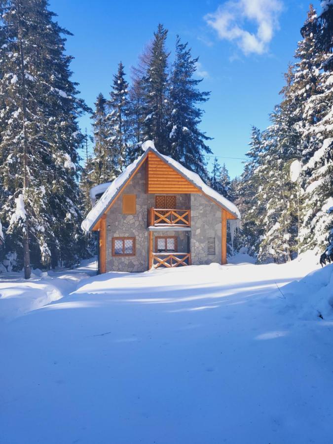 Chata Tatry ตาตรันสกา ชตราบา ภายนอก รูปภาพ